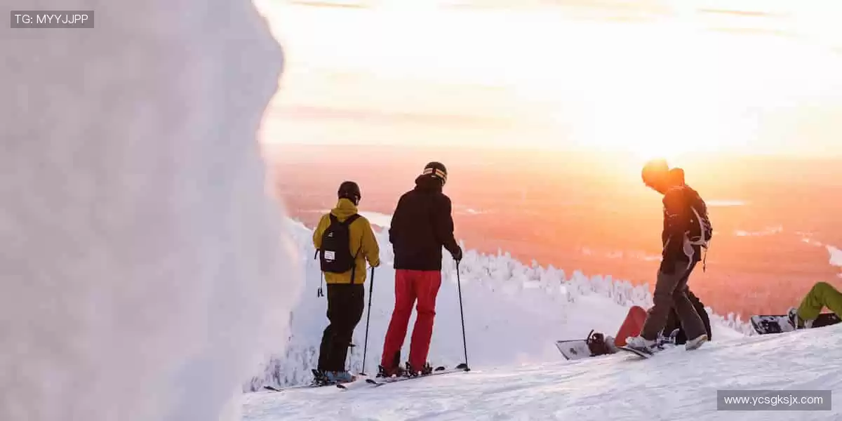 🎨潮流设计，让运动成为时尚标签！👕